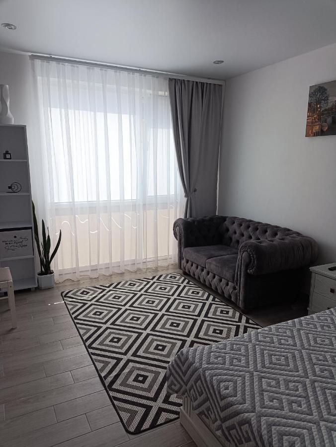 Apartment Comfort On Ruska Street Chernivtsi Exterior photo